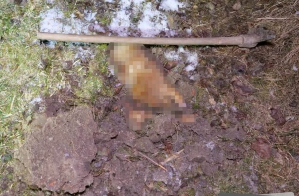 52260_utyrany-pes-640x420.jpg Muž z Klenovca brutálne dobil psa svojej družky, usmrtil ho motykou. Hrozí mu až trojročné väzenie – FOTO