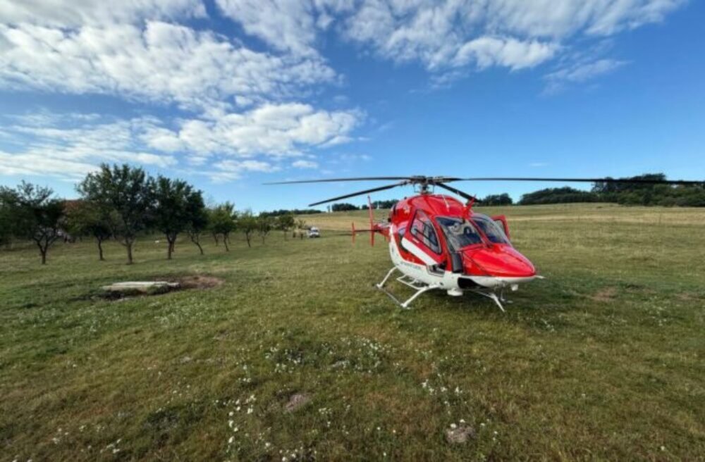 Záchrana zvieraťa sa skončila tragicky, muž utrpel smrteľné zranenia pri pokuse oslobodiť jeleňa – FOTO