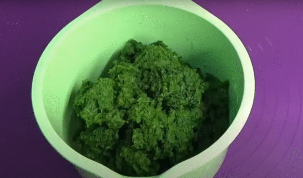 Recept, ktorý sa dedí: chrenové listy proti kašľu a stomatitíde, plus bezpečné obklady na svaly – presné riedenia a limity používania Recept, ktorý sa dedí: chrenové listy proti kašľu a stomatitíde, plus bezpečné obklady na svaly – presné riedenia a limity používania