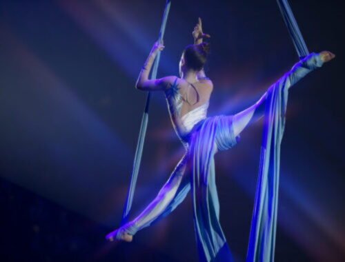 Akrobatka sa zrútila z hrazdy, o život prišla pred davom ľudí vrátane detí