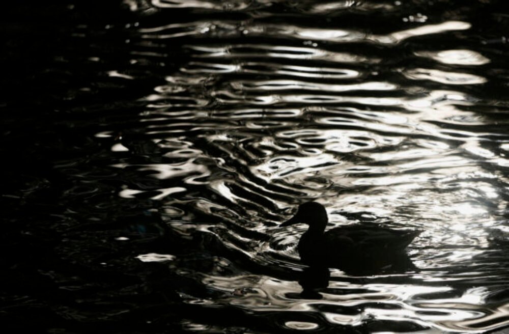 63923_russia_daily_life_22744-640x420.jpg Seniorka za volantom riešila padajúce veci v aute, skončila v rybníku