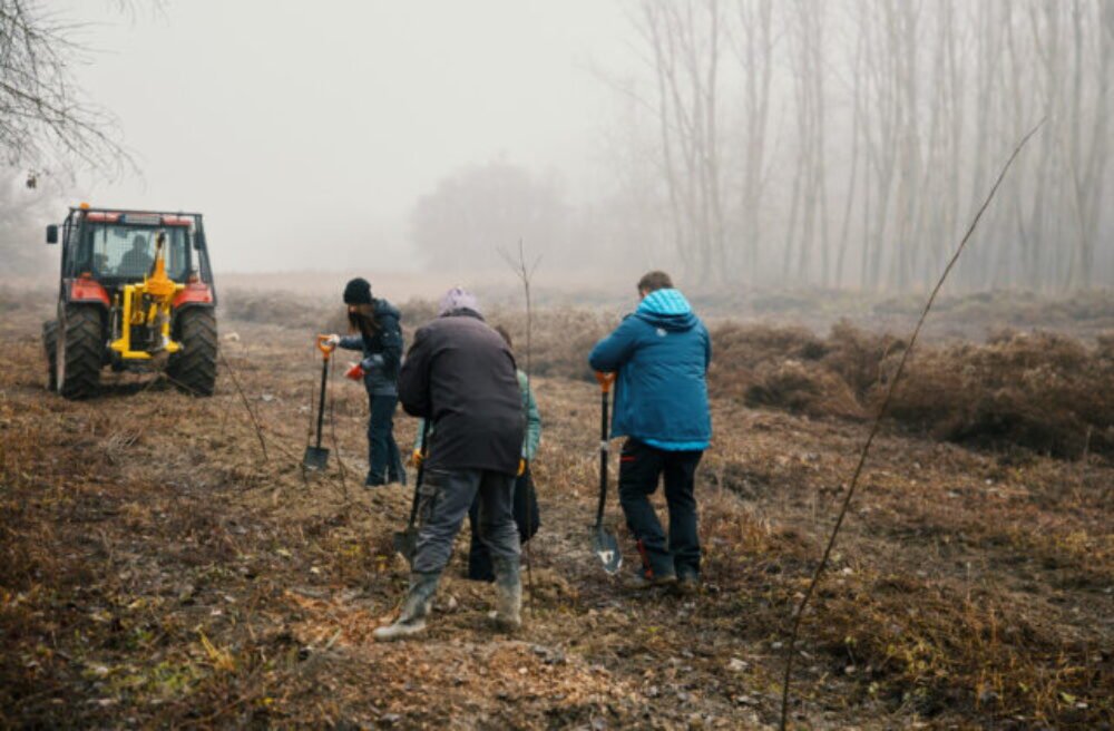 Kým ľudia doma zdobia vianočné stromčeky, v Číčove sadia pôvodné dreviny. Zentiva podporila obnovu lužných lesov