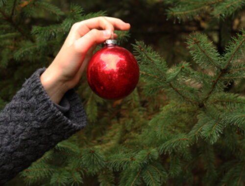 Slobodná národná galéria pokračuje v tradícii, v Bratislave možno vidieť Slobodný národný stromček