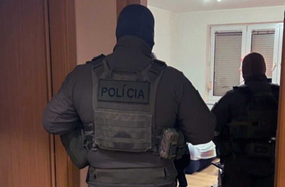 Policajti v rámci akcie SÁVA chytili srbskú prevádzačku, hrozí jej osem rokov väzenia – FOTO