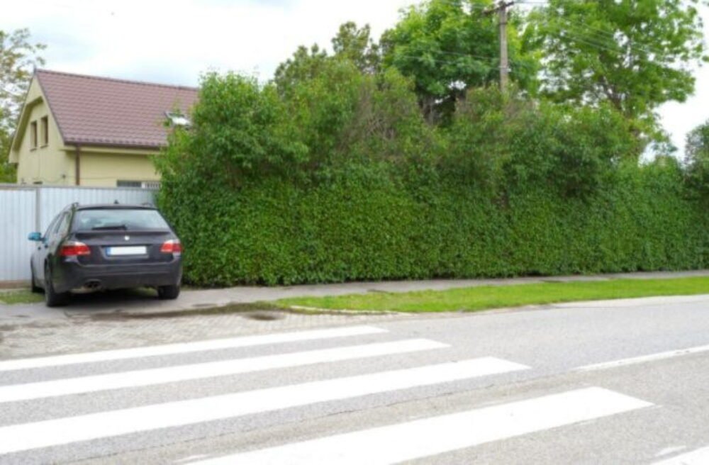 Trnavský kraj neuspel. Súd rozhodol, že Čistý deň mu nemusí vrátiť vypožičanú budovu