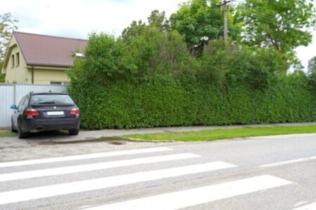 Trnavský kraj neuspel. Súd rozhodol, že Čistý deň mu nemusí vrátiť vypožičanú budovu