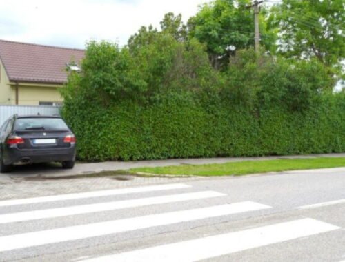 Trnavský kraj neuspel. Súd rozhodol, že Čistý deň mu nemusí vrátiť vypožičanú budovu