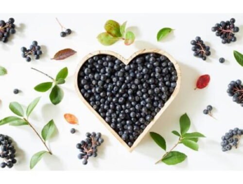 Kráľovná antioxidantov, ktorá zaujala aj vedcov: „Prečo je slovenská arónia  číslo 1 na vašu imunitu?!“