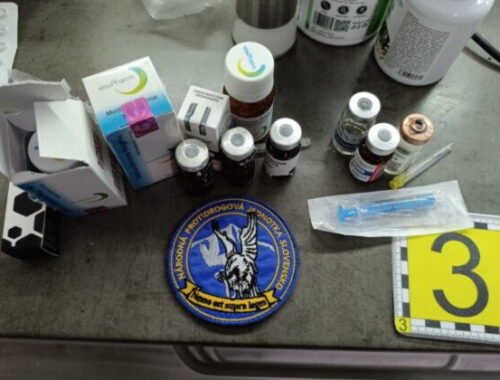 Polícia pri protidrogovej akcii Hlavička zadržala šesť ľudí – FOTO