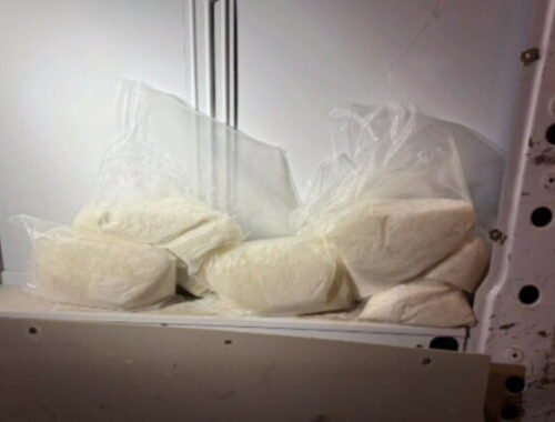 Obrovský drogový úlovok. Pes pomohol nájsť 50 kilogramov pervitínu, muž skončil v rukách polície – VIDEO