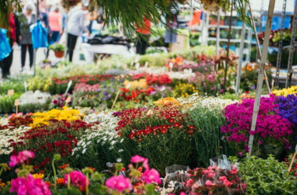 67881_14-640x420.jpg Do Nitry za nábytkom a kvetmi! Už 15.4. štartuje veľtrh Nábytok a Bývanie & Gardenia 2026