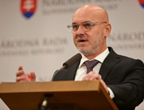 Gröhling sa referenda zúčastní, jeho organizátorov však kritizuje. Do hlasovania ostáva mesiac a nič sa nedeje