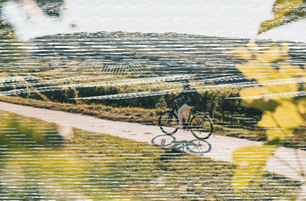 70357_titulna-foto-dr-640x420.png 6 dolnorakúskych oblastí ideálnych na cyklistiku. Od dunajských viníc až po alpské panorámy a novinky 2026