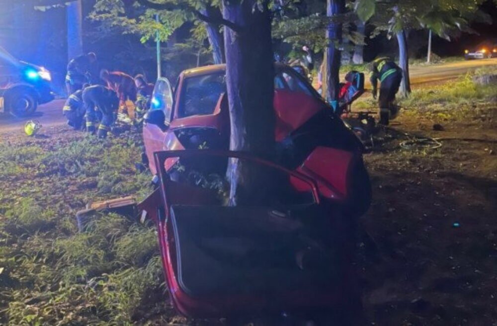 Mladá vodička vo vysokej rýchlosti narazila priamo do stromu, vážna nehoda sa stala v Bratislave – FOTO