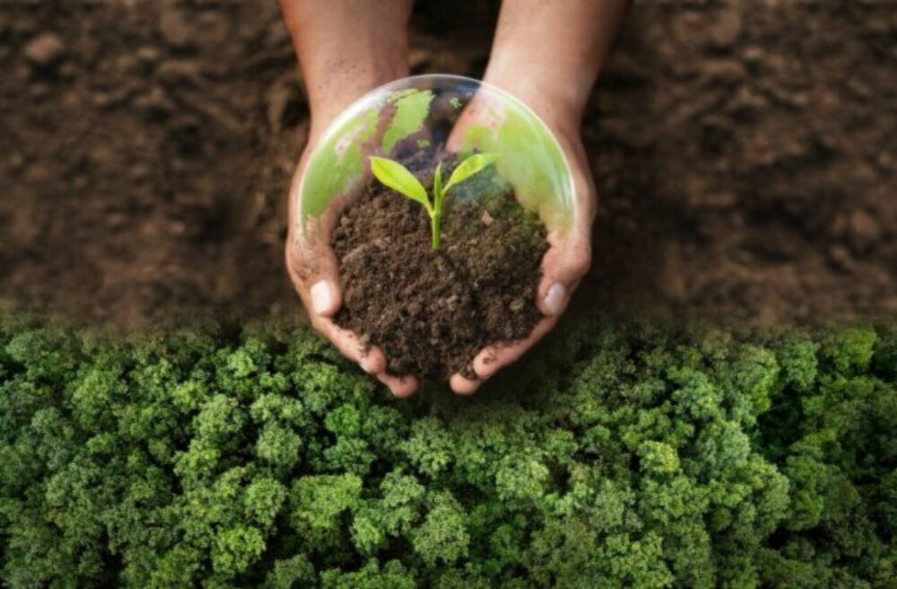 Mladí Slováci ukázali, ako meniť svet okolo seba: Ekofond SPP spoznal nových Greenfluencerov roka