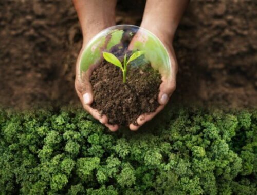 Mladí Slováci ukázali, ako meniť svet okolo seba:  Ekofond SPP spoznal nových Greenfluencerov roka