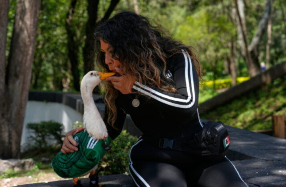 73229_mexico_wcup_mascot_19724-640x420.jpg Ukradol si všetku pozornosť! Káčer Merlin sa stal veľvyslancom Mexika na MS 2026 – VIDEO