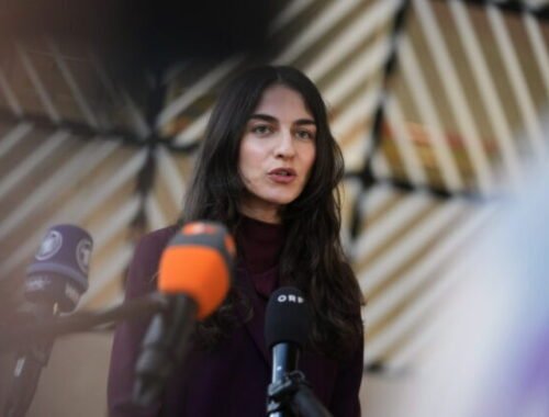 Švédska politička prišla na rokovanie ministrov životného prostredia EÚ s trojmesačným synom