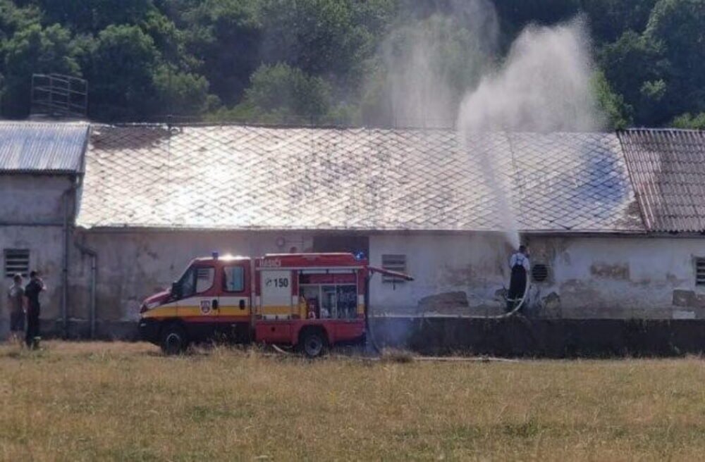 V dôsledku horúčav sa prehrial hangár s hydinou, stovky kusov uhynuli ešte pred príchodom pomoci – VIDEO, FOTO