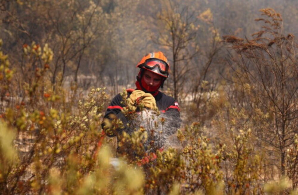 75035_europe_wildfires_63878-640x420.jpg Stovky ľudí evakuovali loďami z polostrova Cap Ferret pre rýchlo sa šíriaci požiar