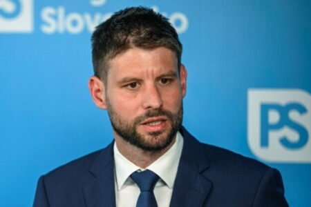 Politológ: PS bude mať v komunálnych voľbách problém, najlepšie pripravené sú strany Smer, Hlas a KDH