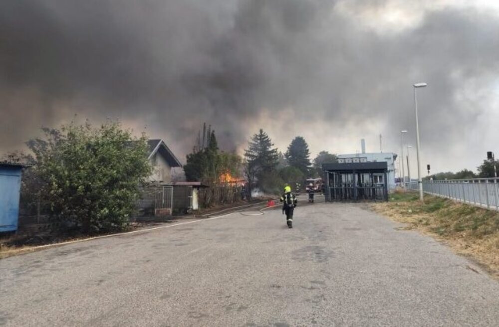 Požiar porastu a chát v Dunajskej Lužnej zasiahol takmer tri hektáre, škoda bola vyčíslená na 250-tisíc eur – FOTO